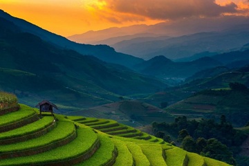 VIETNAM BUSINESS VISA APPROVAL LETTER FOR BANGLADESHI CITIZENS: COMPLETE GUIDE 2026