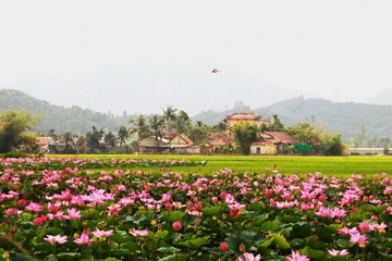VIETNAM WORK PERMIT ISSUANCE IN SPECIAL CASES: REQUIREMENTS, DOCUMENTS AND APPLICATION PROCESS